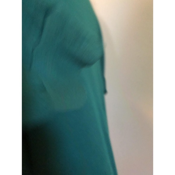 Vintage DC‎ Everest High Evergreens 1960s Basketball Zip Track Jacket Wausau WI - Picture 10 of 11